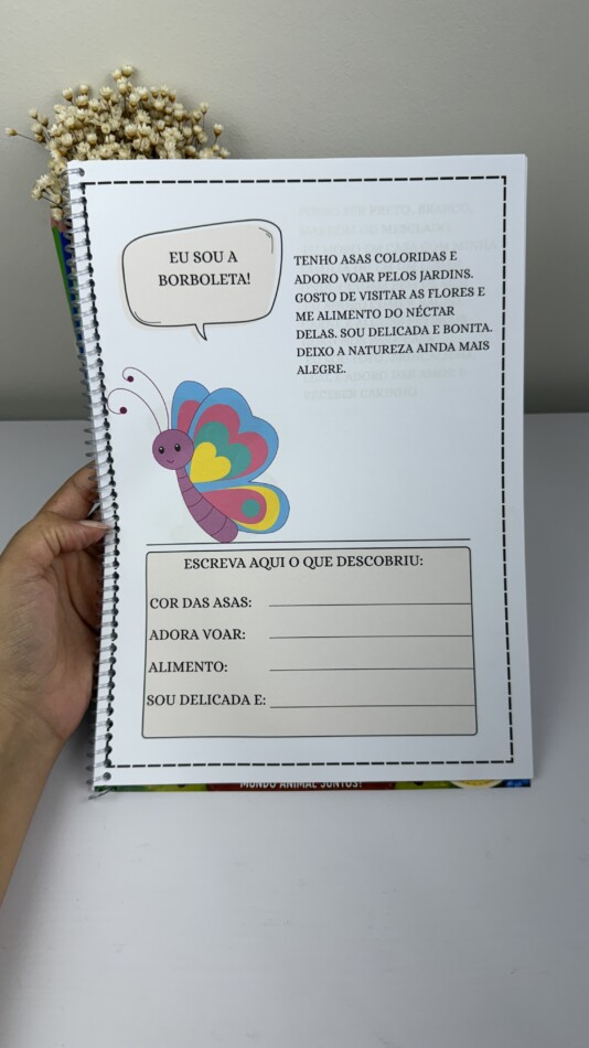 Conhecendo os Animais